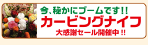 �����뤫�˥֡���Ǥ�!! �����ӥ󥰥ʥ��� �紶�ե����볫����!!